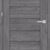 Kamelia-5